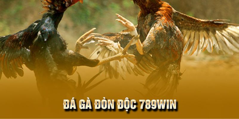 Hướng dẫn tham gia cá cược đá gà trực tuyến tại 789WIN