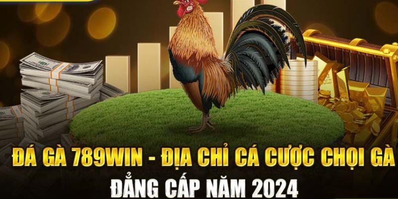 Những câu hỏi phổ biến về đá gà 789WIN