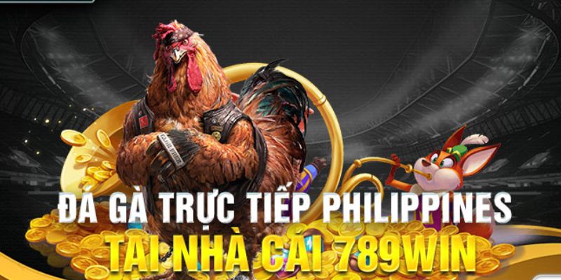 Tổng quan về các sảnh trường gà tại đá gà 789WIN