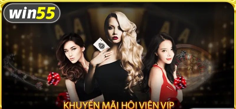 Khuyến mãi dành cho hội viên VIP